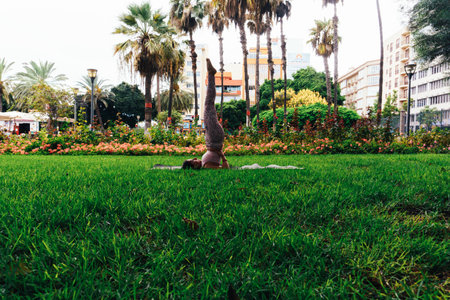 Young caucasian girl, performing the sarvangasana pose in a parkの写真素材