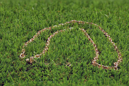 precious gold chain on artificial grassの写真素材