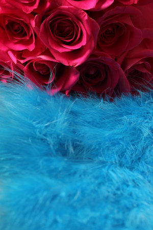 Pink Roses and Blue Feathers Close up Backgroundの写真素材