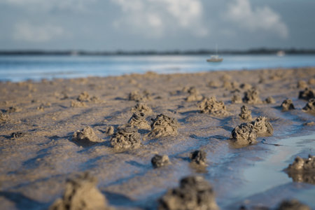 Lots of wadden worm piles at low tide on the beach of the coast. A boat can be seen in the blurred backgroundの写真素材