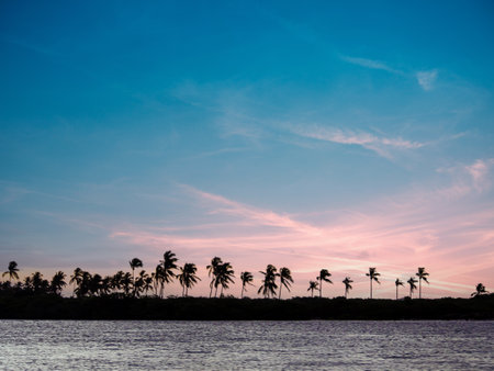 beach view on purple sunset in Maragogi, Alagoasの写真素材