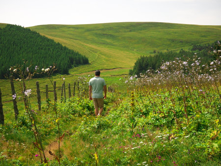 Nice picture of a hiker seen from the back walking in the landscape in Auvergne, central Franceの写真素材