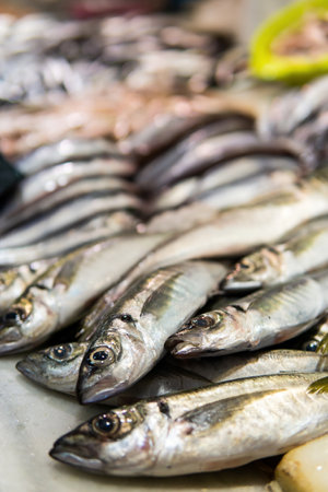 Fresh fish displayed in a traditional food market. Whiting fishの写真素材