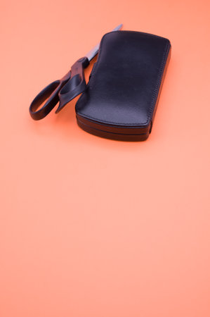 closed manicure set bag and scissors with copy space at the bottom on orange background