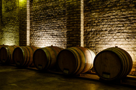 Large cellar for wine and cachaÃ§a reservation in the interior of the state of SÃ£o Paulo. Wine...