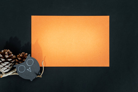 Halloween. The owl on orange and black background.の写真素材
