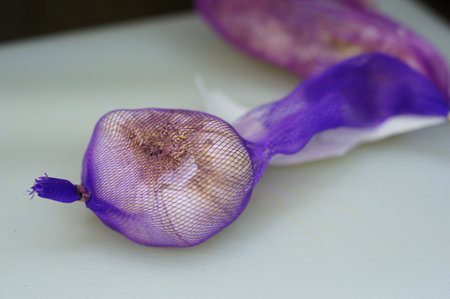 Fresh garlic in a purple net on cutting boardの写真素材