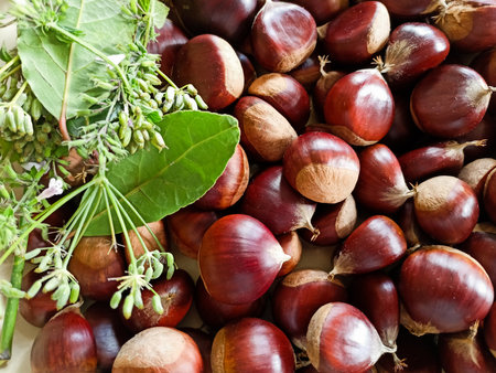 Close-up of raw organic chestnuts with nebedaの写真素材