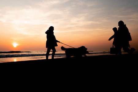 Sunset on a beautiful beach walking the dogs on a wonderful day in Portugalの写真素材