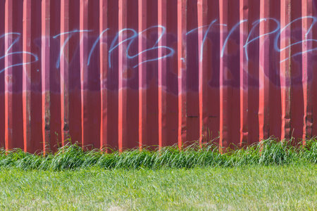 Side of a red grafittied shipping container sitting in overgrown grass.の写真素材