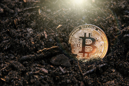 Mining golden bitcoin. Concept of cryptocurrenciesの写真素材