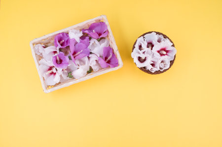 white and pink hibiscus flowers in a wicker canister on a yellow background with text spaceの写真素材
