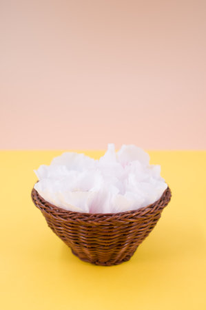 white and pink hibiscus flowers in a wicker canister on a yellow background with text spaceの写真素材