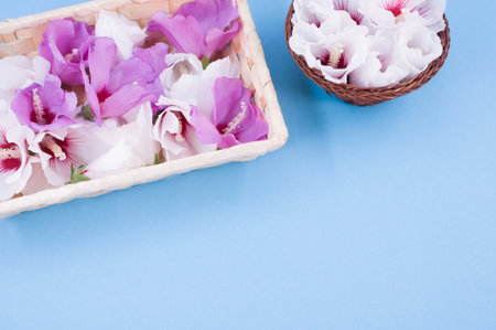 hibiscus flowers in a wicker canister on a light blue background with text space