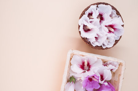 hibiscus flowers in a wicker canister on a beige background with text spaceの写真素材