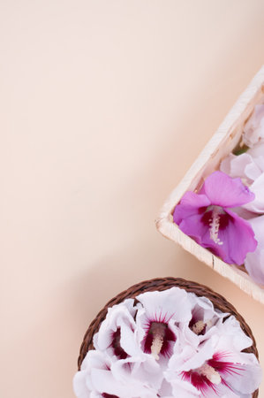 hibiscus flowers in a wicker canister on a beige background with text spaceの写真素材