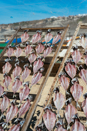 Fish drying outdoor the traditional wayの写真素材