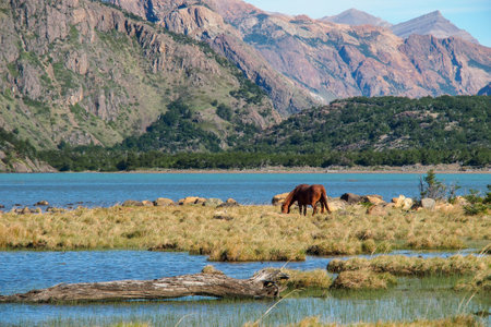 beautiful patagonia scenery with lakes, mountains and a horse near El Chalten, Argentinaの写真素材