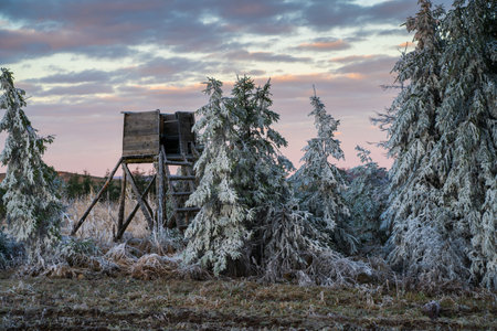 Winter landscape with a deerstandの写真素材