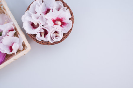 hibiscus flowers in a wicker canister on a gray background with text spaceの写真素材