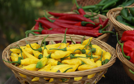 Lemon Drop Pepper from Peru Aji Limo Capsicum frutescens L in basket with red cayenneの写真素材