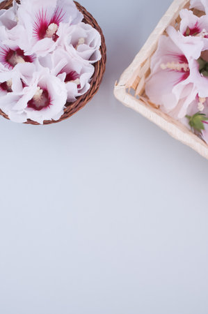 hibiscus flowers in a wicker canister on a gray background with text spaceの写真素材