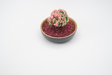 bowl filled with  plant and decorative sand on white background with space for textの写真素材