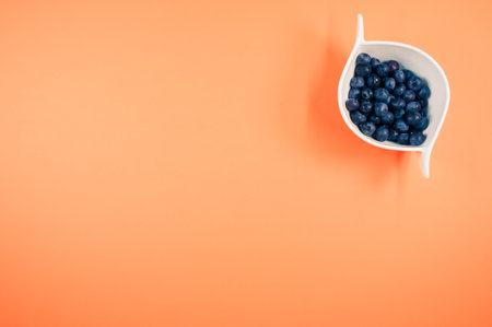 fresh and tasty organic blueberries in a white decorative ceramic bowl with copy spaceの写真素材