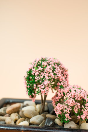 decorative miniature flowering plants in a vase close up with copy space