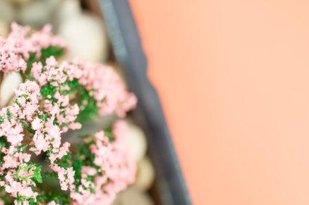 decorative miniature flowering plants in a vase close up with copy spaceの写真素材