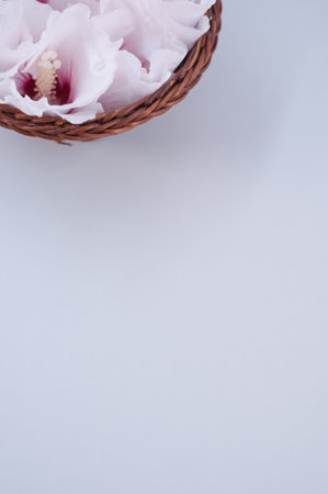hibiscus flowers in a wicker canister on a gray background with text spaceの写真素材
