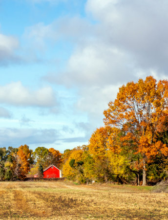 A freshly harvested field and a large red barn help create a beautiful autumn scene in Michigan USAの写真素材