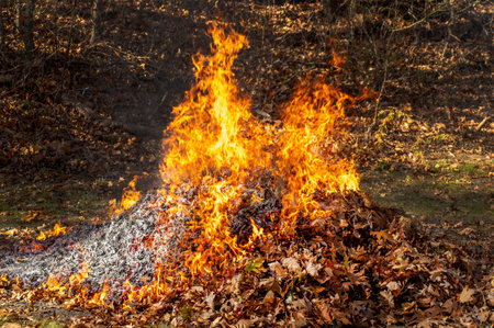 A pile of fall leaves is ablaze in a rural backyardの写真素材