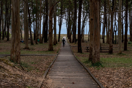 View of Asturias beaches.の写真素材