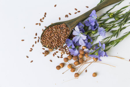 composition of flax flowers and suchara with seeds on white backgroundの写真素材