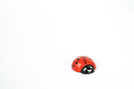 Little lady bug isolated on white, copy spaceの写真素材