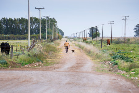 Man walking with his dog down a lonely country roadの写真素材