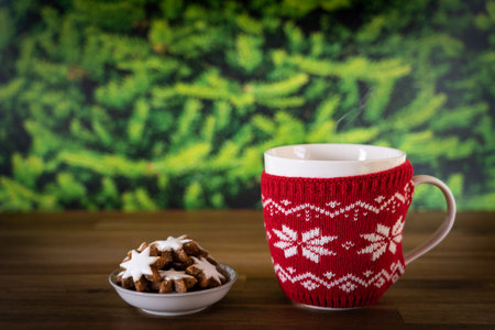 A cup of hot chocolate and a plate of cinnamon star biscuits