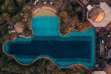 A top view of a beautiful pool surrounded by palm trees on a luxury resortのeditorial素材