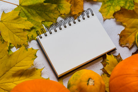 Empty notepad with autumn frame, perspective view, copy spaceの写真素材