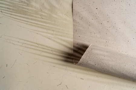 The real natural abstract shadows