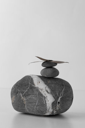 The creative feng shui assortment