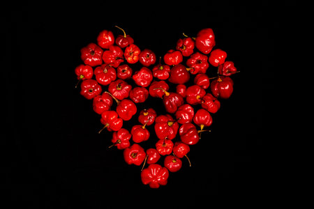 Red chilli peppers on black backgroundの写真素材
