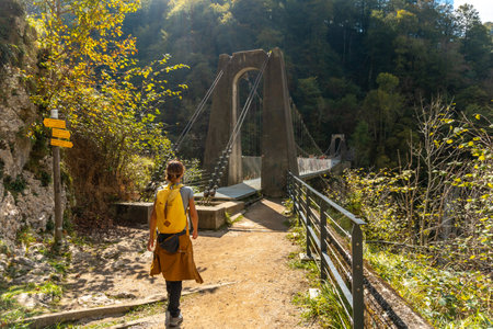 A young woman visiting the Passerelle Holtzarte, Larrau. In the forest or jungle of Irati, north of...