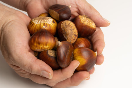seasonal chestnuts harvested from the field on a white backgroundの写真素材