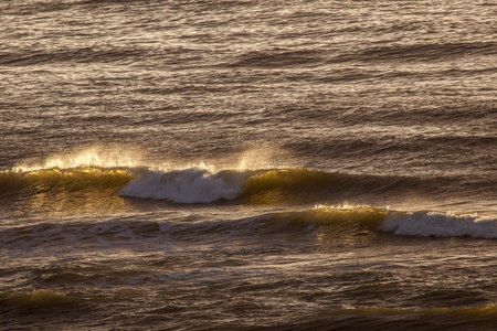 Wave with golden spindrift in the evening sunの写真素材