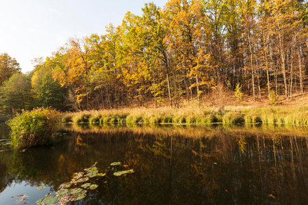 The peaceful beautiful landscape daylightの写真素材