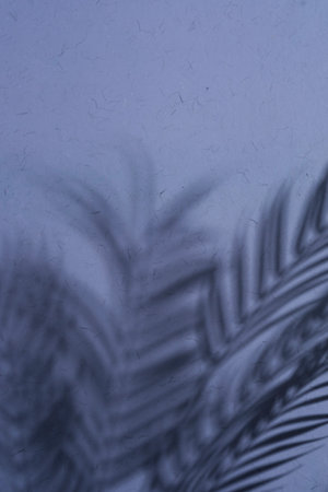 The real natural abstract shadows