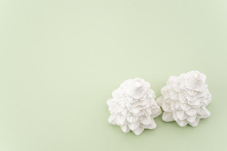 Christmas ornamental background with fir trees on a green and white surface with copy spaceの写真素材