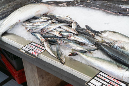 Freshly caught fish at the fish market